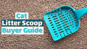 Read more about the article Cat Litter Scoop Buyer Guide