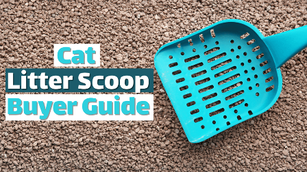 You are currently viewing Cat Litter Scoop Buyer Guide