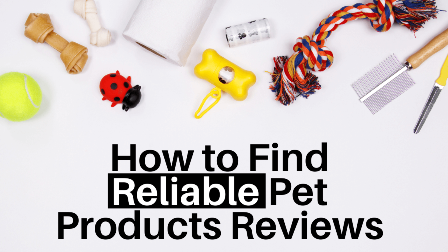 You are currently viewing How to Find Reliable Pet Products Reviews