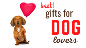 Read more about the article Best Gifts for Dog Lovers