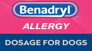 Read more about the article Proven Safe and Effective Benadryl Dosage for Dogs