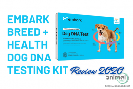 Embark Breed + Health Dog DNA 