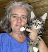 Mainecoons, Mixed Breed