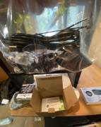 Baby veiled chameleon w/ cage, Lizard