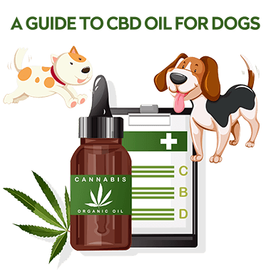 A Guide to CBD Oil for Dogs