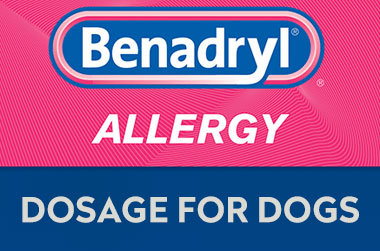 benadryl dose for dogs